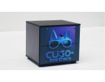 C101P Cugo Race Car Bed-Purple Collection